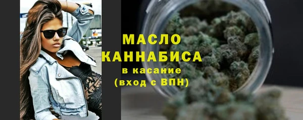 гидра Бронницы