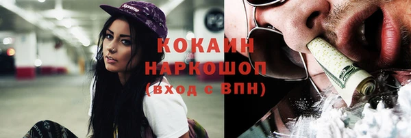 гидра Бронницы