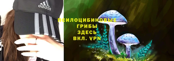 гидра Бронницы