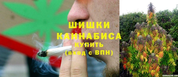 ГАЛЛЮЦИНОГЕННЫЕ ГРИБЫ Бородино
