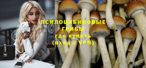 тгк Бугульма