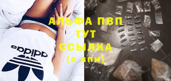 гидра Бронницы